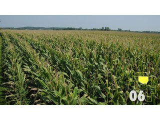 Property photo 21 - Land Auction - 3,379 Acres in 48 Tracts, 2,900 Acres Tillable, Large Contiguous Tracts - Investment Potential